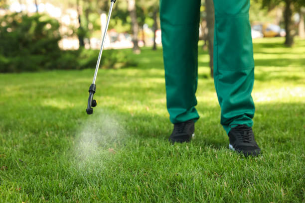 Reliable Dutch Island, GA Pest Control Solutions