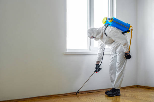 Flea Control Services in Dutch Island, GA