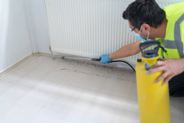 Best Cockroach Control Services  in Dutch Island, GA